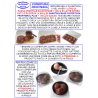 BASE COPERTURA PROFITEROL PLUS